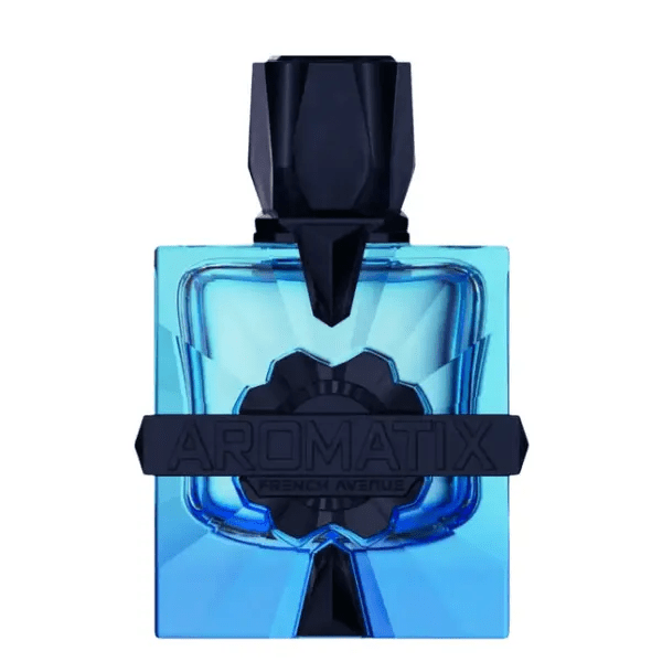 French Avenue Aromatix Magnetiq 100ml - The Oud Library